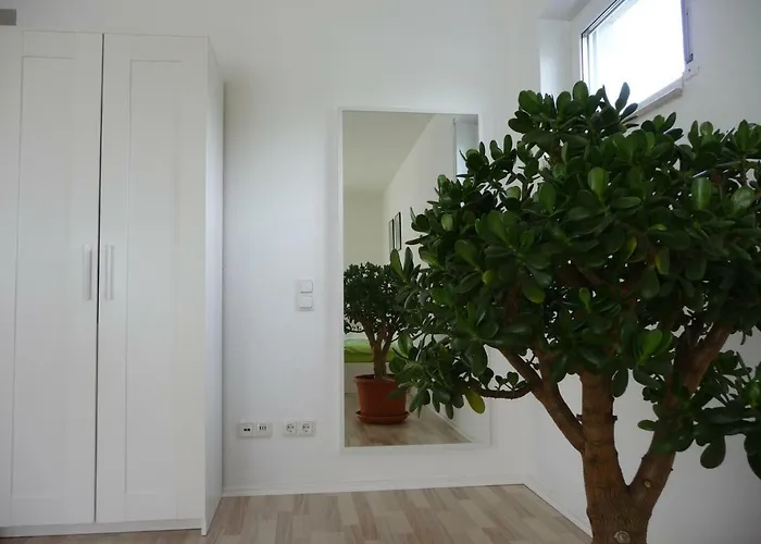 Zimmergruen Am Nordpark Apartament *